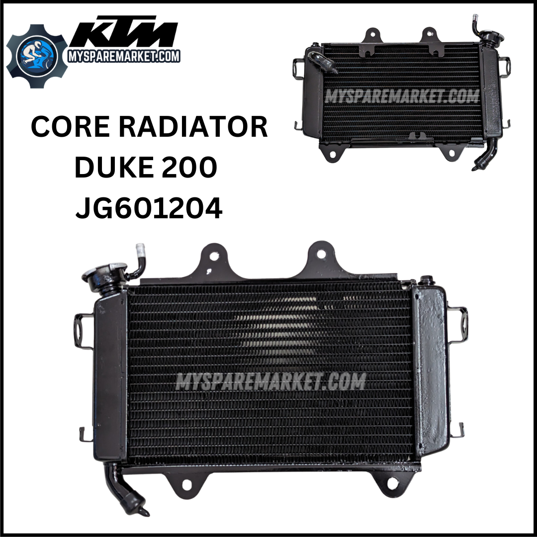 CORE RADIATOR - Duke 200 - JG601204