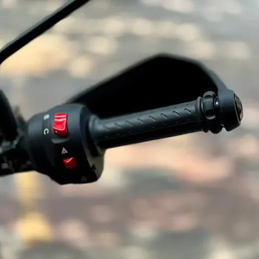 Pro-Spec - ECZ 032- Easy Cruz Triumph Scramler 400 x