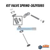 KIT VALVE SPRING-36JY0065