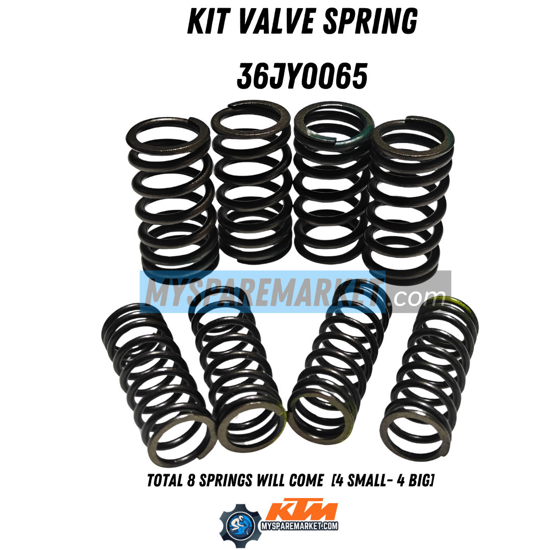 KIT VALVE SPRING-36JY0065