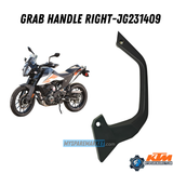 Adventure Grab Handle - JG231408 (Left) + JG231409 (Right)