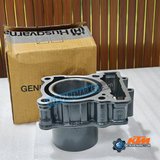 DUKE/HUSQVARNA/ADVENTURE 250 BLOCK CYLINDER-JY521012